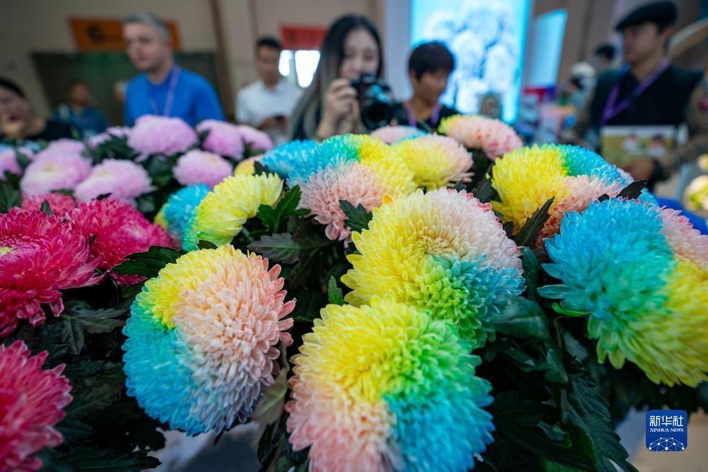 宝马线上娱乐手机登录